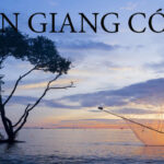 Hãy lưu lại những địa điểm du lịch hấp dẫn ở Tiền Giang ngay nhé!